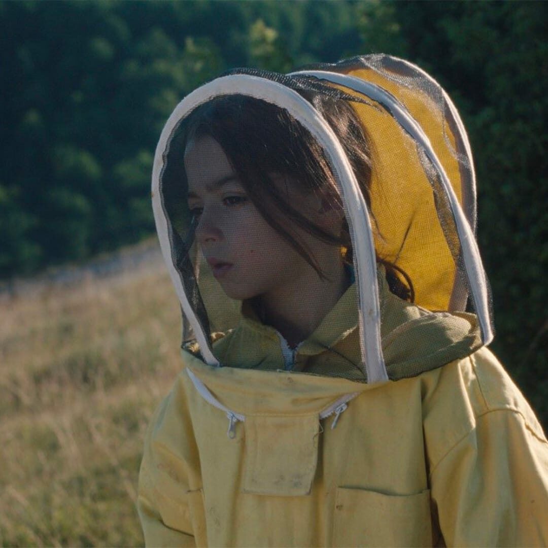 20 000 espèces d'abeilles Affiche pour 20 000 espèces d'abeilles
