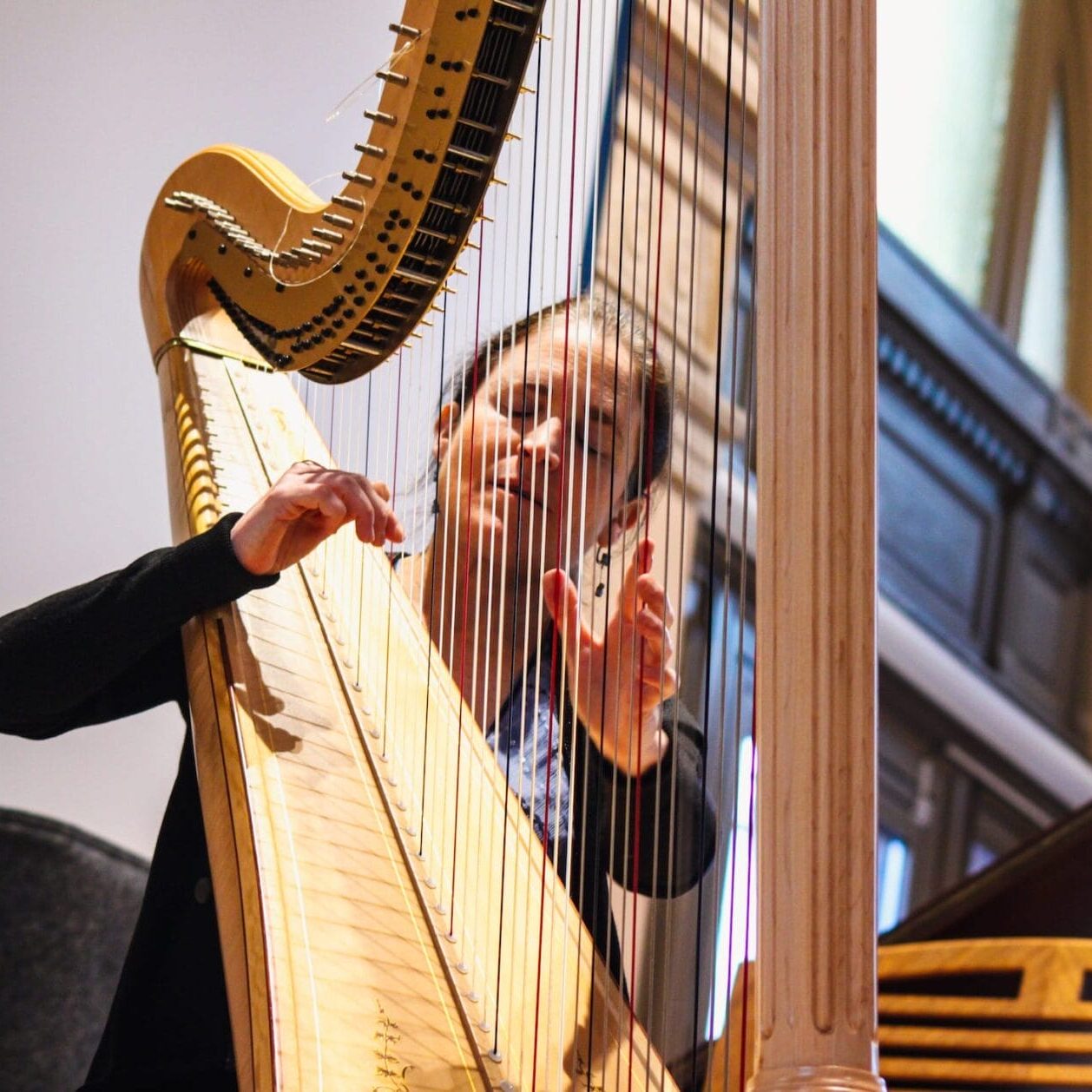 Une joueuse de harpe à l'occasion du Concert de Nouvel An 2025 de l'Académie d'Anderlecht.